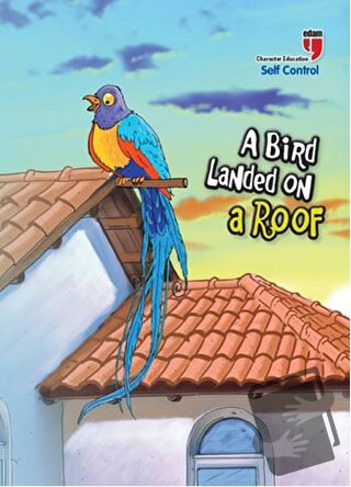 A Bird Landed on a Roof - Self Control - Neriman Karatekin - EDAM - Fi