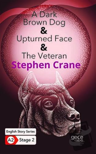 A Dark Brown Dog - Upturned Face - The Veteran - İngilizce Hikayeler A