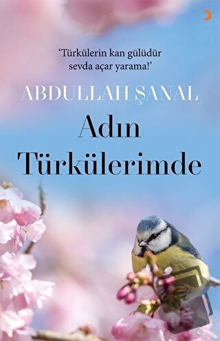 Adın Türkülerimde - Abdullah Şanal - Cinius Yayınları - Fiyatı - Yorum