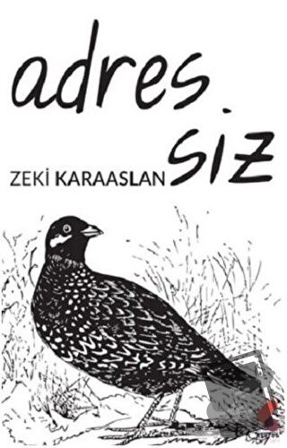 Adressiz - Zeki Karaaslan - Klaros Yayınları - Fiyatı - Yorumları - Sa