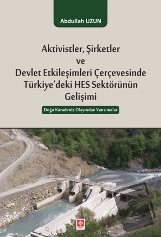 Aktivistler, Şirketler ve Devlet Etkileşimleri Çerçevesinde Türkiye'de