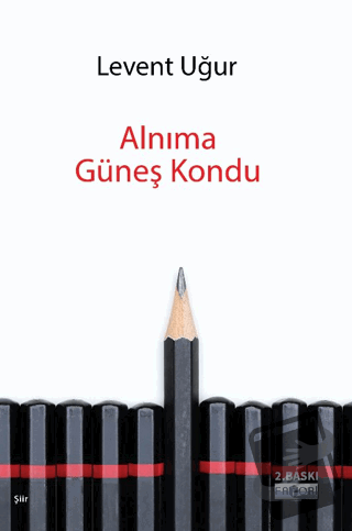 Alnıma Güneş Kondu - Levent Uğur - Favori Yayınları - Fiyatı - Yorumla