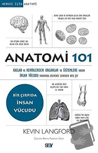 Anatomi 101 - Kevin Langford - Say Yayınları - Fiyatı - Yorumları - Sa