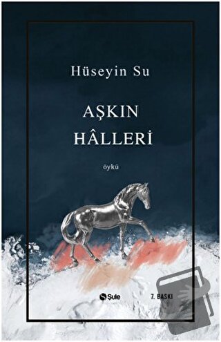 Aşkın Halleri - Hüseyin Su - Şule Yayınları - Fiyatı - Yorumları - Sat