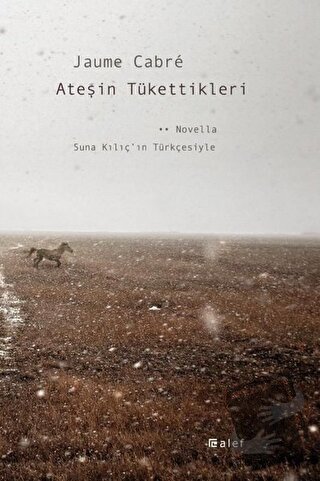 Ateşin Tükettikleri - Jaume Cabre - Alef Yayınevi - Fiyatı - Yorumları