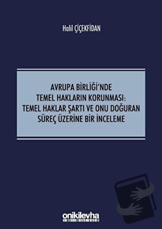 Avrupa Birliği'nde Temel Hakların Korunması: Temel Haklar Şartı ve Onu