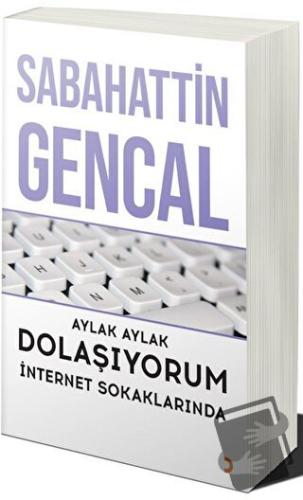 Aylak Aylak Dolaşıyorum İnternet Sokaklarında - Sabahattin Gencal - Ci