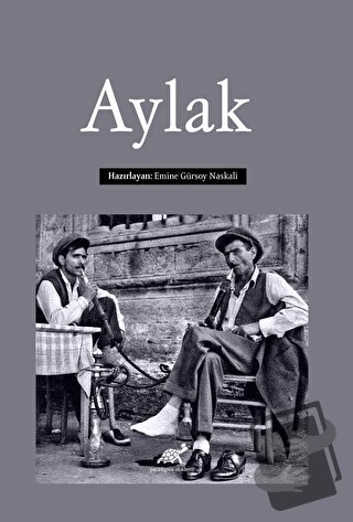 Aylak - Emine Gürsoy Naskalı - Paradigma Akademi Yayınları - Fiyatı - 