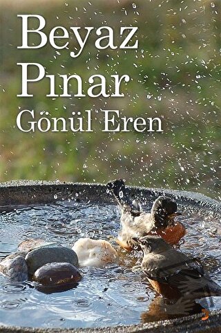 Beyaz Pınar - Gönül Erenler - Cinius Yayınları - Fiyatı - Yorumları - 