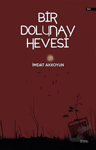 Bir Dolunay Hevesi - İmdat Akkoyun - Mat Kitap - Fiyatı - Yorumları - 