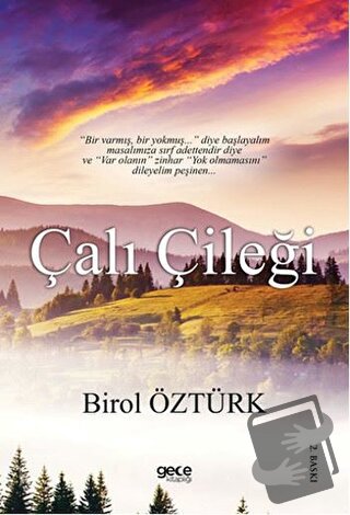 Çalı Çileği (Ciltli) - Birol Öztürk - Gece Kitaplığı - Fiyatı - Yoruml