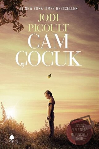 Cam Çocuk - Jodi Picoult - April Yayıncılık - Fiyatı - Yorumları - Sat