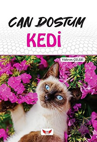 Can Dostum Kedi - Yıldırım Çelebi - Minel Yayın - Fiyatı - Yorumları -