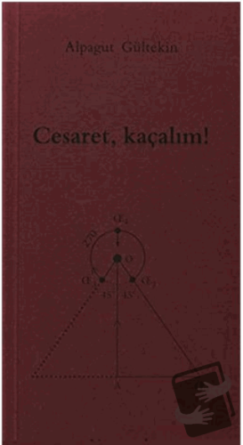 Cesaret, Kaçalım! - Alpagut Gültekin - Norgunk Yayıncılık - Fiyatı - Y