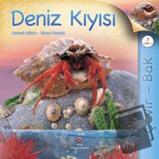 Çevir Bak - Deniz Kıyısı (Ciltli) - Hannah Wilson - TÜBİTAK Yayınları 