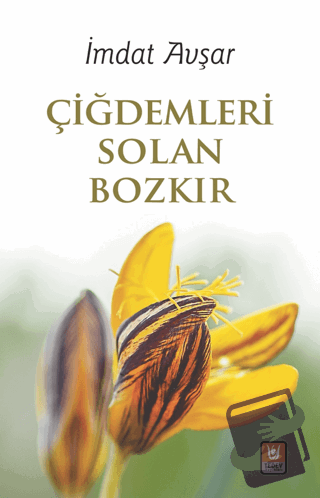 Çiğdemleri Solan Bozkır - İmdat Avşar - Tedev Yayınları - Fiyatı - Yor