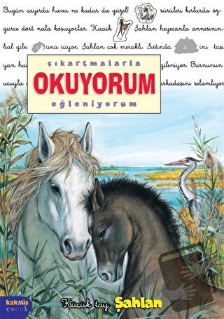 Çıkartmalarla Okuyorum Eğleniyorum -Küçük Tay Şahlan - Delphine Lachar