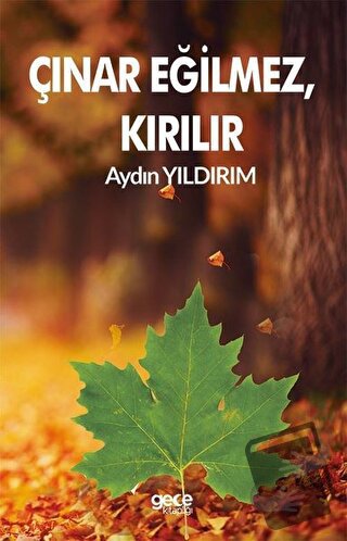 Çınar Eğilmez, Kırılır - Aydın Yıldırım - Gece Kitaplığı - Fiyatı - Yo