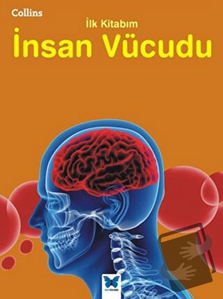 Collins İlk Kitabım İnsan Vücudu - Jen Green - Mavi Kelebek Yayınları 