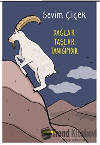 Dağlar Taşlar Tanığımdır - Sevim Çiçek - Notos Kitap - Fiyatı - Yoruml