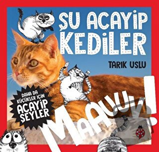 Daha da Küçükler İçin Şu Acayip Kediler - Daha da Küçükler İçin Acayip