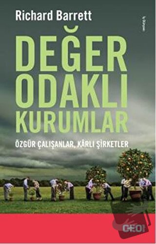 Değer Odaklı Kurumlar - Richard Barrett - CEO Plus - Fiyatı - Yorumlar