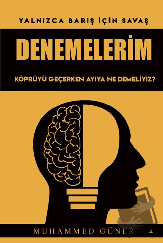 Denemelerim - Muhammed Güner - Odessa Yayınevi - Fiyatı - Yorumları - 