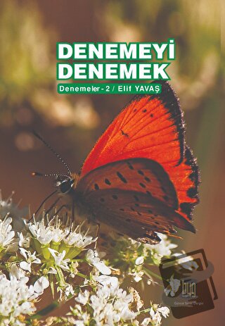 Denemeyi Denemek - Elif Yavaş - Baygenç Ajans - Fiyatı - Yorumları - S