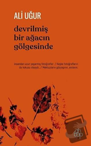 Devrilmiş Bir Ağacın Gölgesinde - Ali Uğur - Ahbap Kitap - Fiyatı - Yo