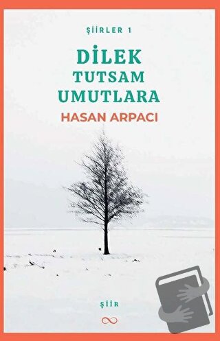 Dilek Tutsam Umutlara - Hasan Arpacı - Bengisu Yayınları - Fiyatı - Yo