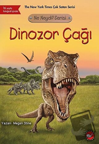 Dinozor Çağı - Ne Neydi? Serisi - Megan Stine - Beyaz Balina Yayınları