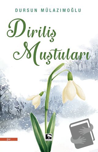 Diriliş Muştuları - Dursun Mülazımoğlu - Çınaraltı Yayınları - Fiyatı 