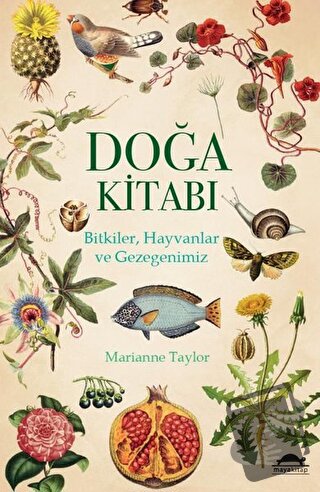 Doğa Kitabı - Marianne Taylor - Maya Kitap - Fiyatı - Yorumları - Satı