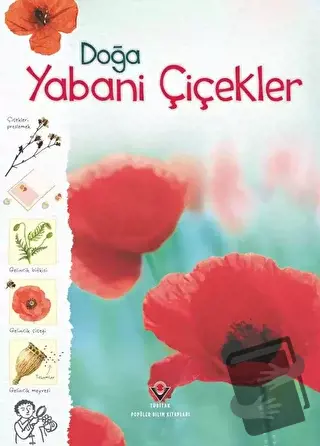 Doğa - Yabani Çiçekler - Kirsteen Rogers - TÜBİTAK Yayınları - Fiyatı 