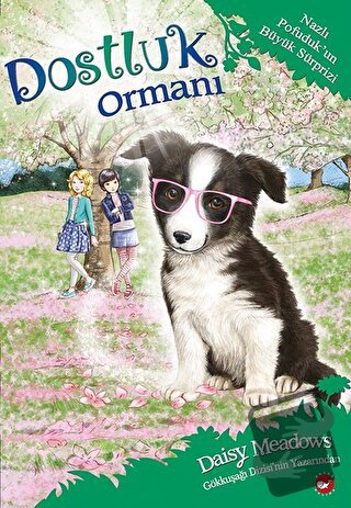 Dostluk Ormanı 10 - Nazlı Pofuduk’un Büyük Sürprizi - Daisy Meadows - 