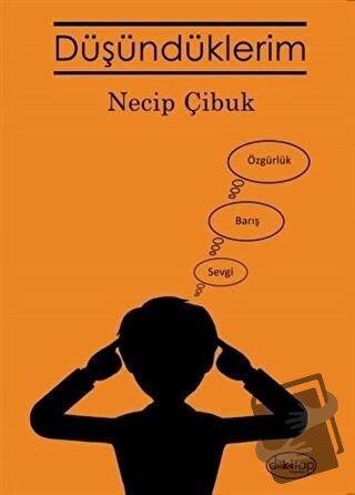 Düşündüklerim - Necip Çibuk - Dilkitap Yayınları - Fiyatı - Yorumları 