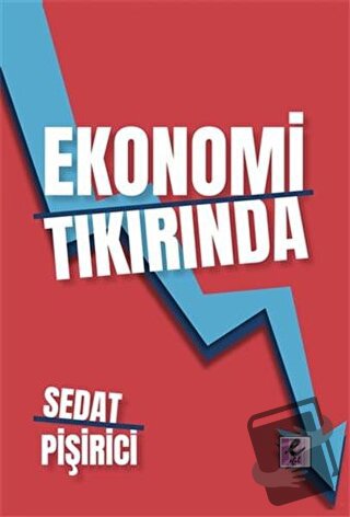 Ekonomi Tıkırında - Sedat Pişirici - Efil Yayınevi - Fiyatı - Yorumlar