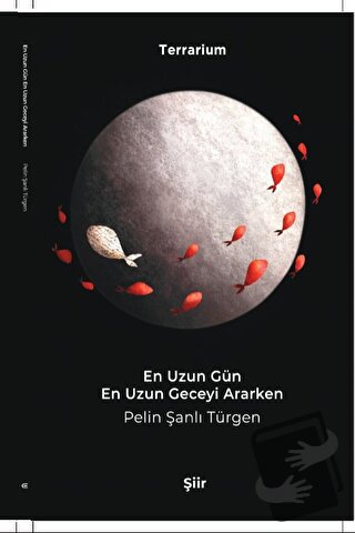 En Uzun Gün En Uzun Geceyi Ararken - Pelin Şanlı Türgen - Kurmaca Akad