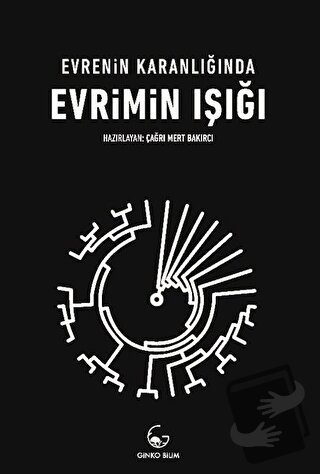 Evrenin Karanlığında Evrimin Işığı - Kolektif - Ginko Kitap - Fiyatı -