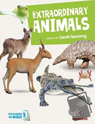 Extraordinary Animals - Sarah Sweeney - Redhouse Kidz Yayınları - Fiya