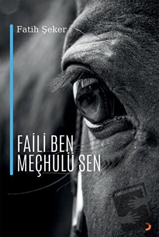 Faili Ben Meçhulü Sen - Fatih Şeker - Cinius Yayınları - Fiyatı - Yoru