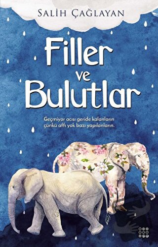 Filler ve Bulutlar - Salih Çağlayan - Dokuz Yayınları - Fiyatı - Yorum