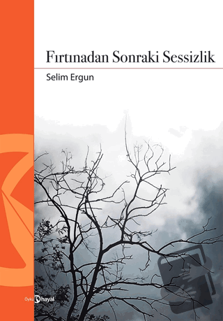 Fırtınadan Sonraki Sessizlik - Selim Ergun - Hayal Yayınları - Fiyatı 