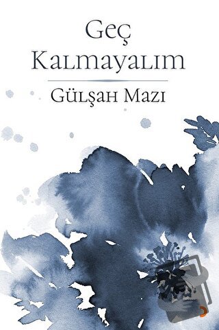 Geç Kalmayalım - Gülşah Mazı - Cinius Yayınları - Fiyatı - Yorumları -