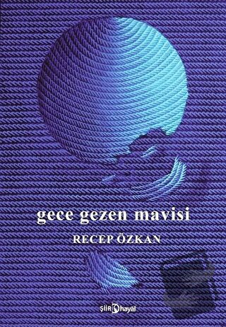 Gece Gezen Mavisi - Recep Özkan - Hayal Yayınları - Fiyatı - Yorumları