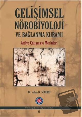 Gelişimsel Nörobiyoloji ve Bağlanma Kuramı - Allan N. Schore - Psikote