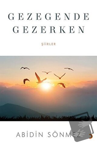 Gezegende Gezerken - Abidin Sönmez - Cinius Yayınları - Fiyatı - Yorum