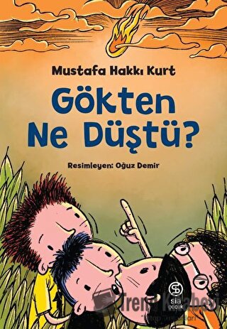 Gökten Ne Düştü? - Mustafa Hakkı Kurt - Sia Kitap - Fiyatı - Yorumları