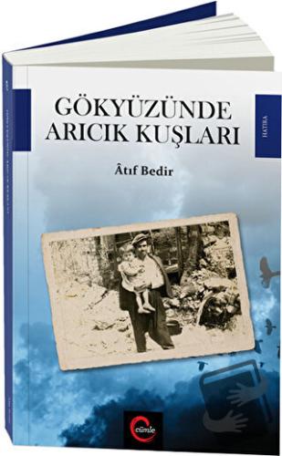 Gökyüzünde Arıcık Kuşları - Atıf Bedir - Cümle Yayınları - Fiyatı - Yo