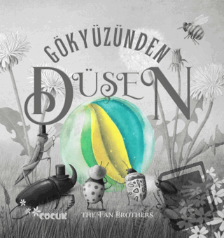 Gökyüzünden Düşen - The Fan Brothers - Nobel Çocuk - Fiyatı - Yorumlar